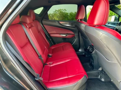 2022 Lexus NX350h Platinum 2.5L Hybrid 4 Cylinders Engine Black Red SUV