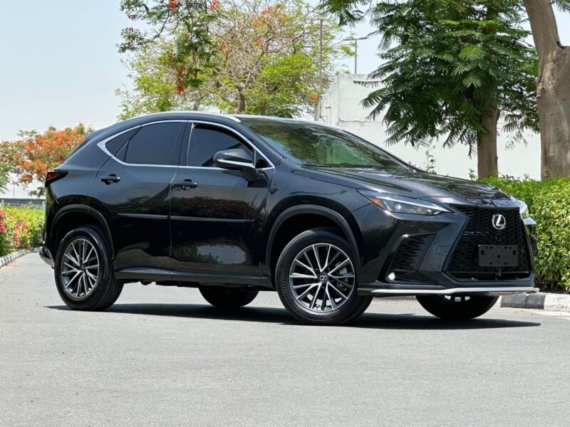 2022 Lexus NX350h Platinum 2.5L Hybrid 4 Cylinders Engine Black Red SUV