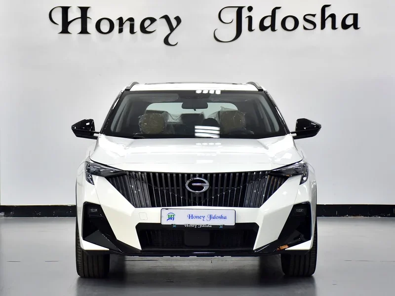 2026 GAC EMZOOM GL Plus 4 Cylinder Engine Petrol White Beige Crossover