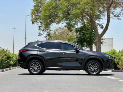 2022 Lexus NX350h Platinum 2.5L Hybrid 4 Cylinders Engine Black Red SUV