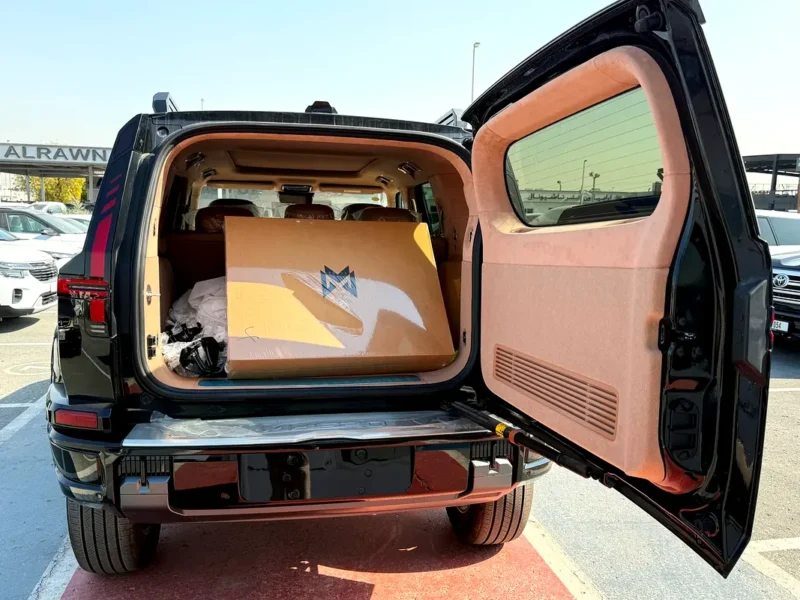 2025 DongFeng M-Hero 917 EREV 4 Cylinder Hybrid Engine Black Beige SUV