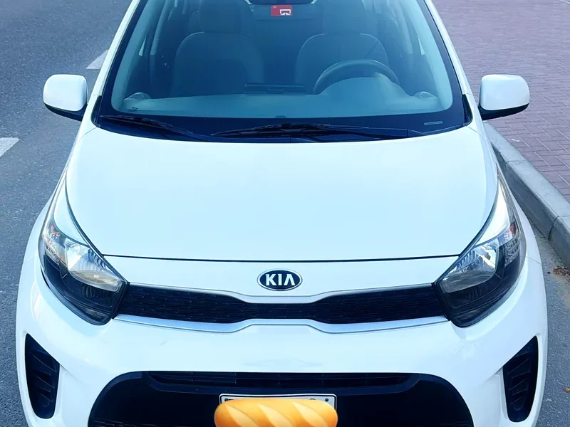 2019 Kia Picanto Other 4 Cylinder petrol Engine White Grey Hatchback