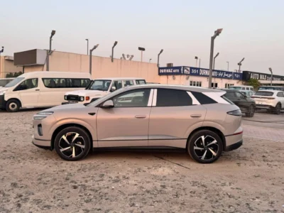 2025 BYD SEALION 06 Electric Car Bronze Grey SUV Automatic