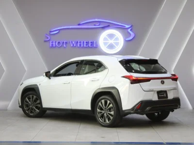 2019 Lexus UX200 F-Sport 2.0L 4 Cylinder Petrol Engine White Black SUV