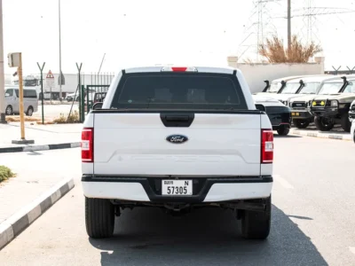 2019 Ford F-Series F150 Platinum 8 Cylinders Engine White Grey Pick Up Truck
