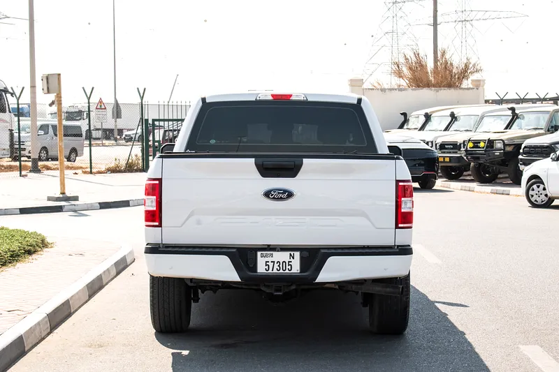 2019 Ford F-Series F150 Platinum 8 Cylinders Engine White Grey Pick Up Truck