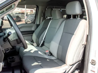 2019 Ford F-Series F150 Platinum 8 Cylinders Engine White Grey Pick Up Truck