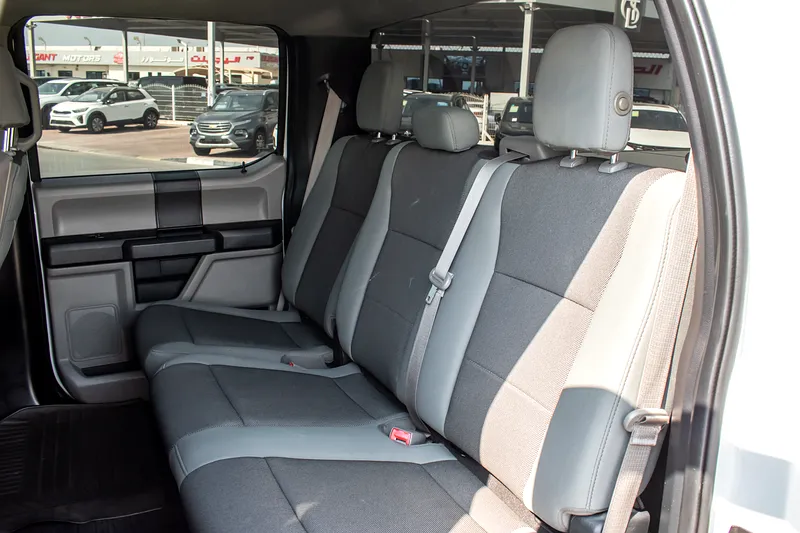 2019 Ford F-Series F150 Platinum 8 Cylinders Engine White Grey Pick Up Truck