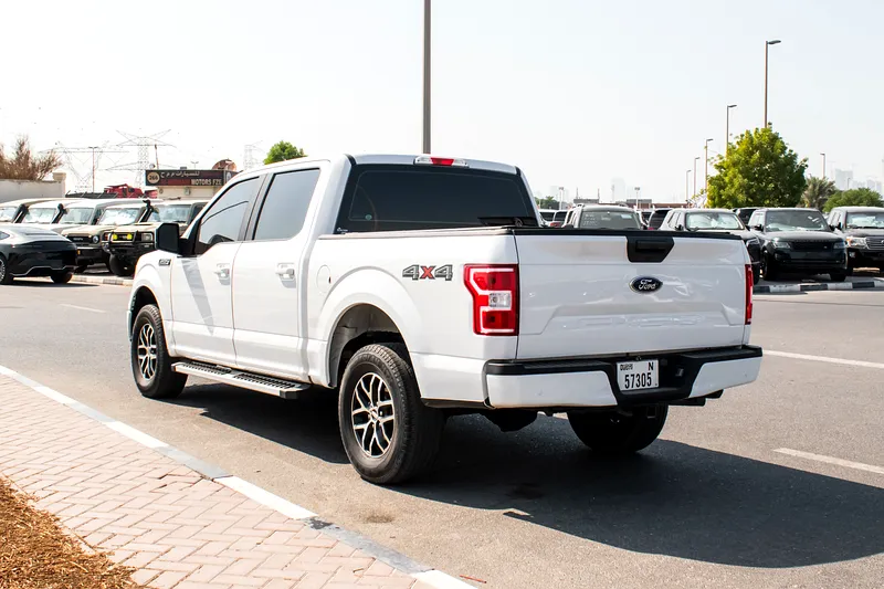 2019 Ford F-Series F150 Platinum 8 Cylinders Engine White Grey Pick Up Truck