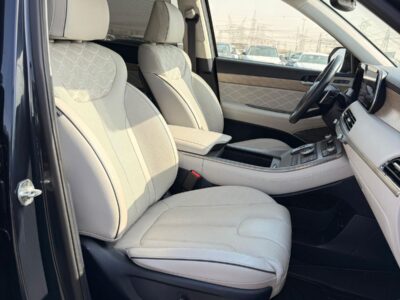2021 HYUNDAI PALISADE CALLIGRAPHY 3.8L V6 Engine VVT Blue White SUV