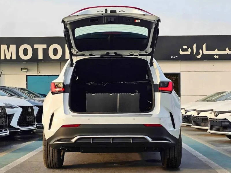 2024 Lexus NX350 F SPORT TURBO CHARGED 4 Cylinders Engine White Red SUV GCC