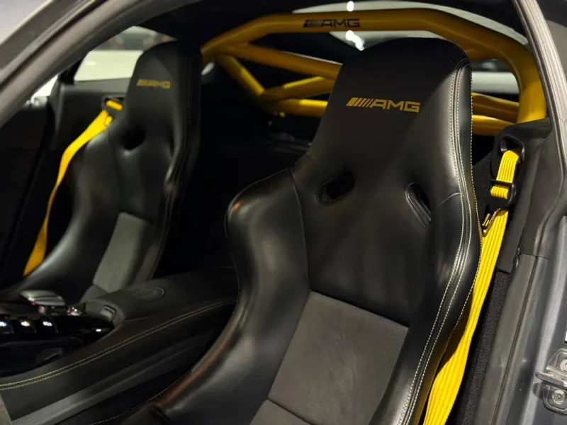 2019 Mercedes-Benz AMG GT R Pro 8 Cylinders Engine Silver Black Coupe