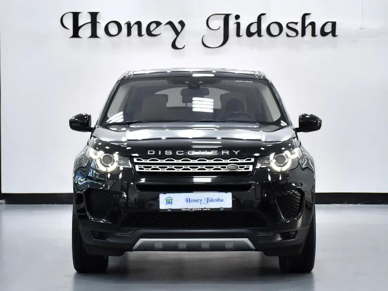 2018 Land Rover Discovery Sport HSE 4 Cylinders Engine Black Beige Crossover