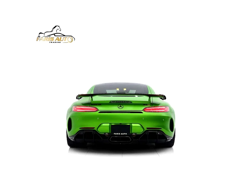 2019 Mercedes-Benz AMG AMG-GT R FULL CARBON PACKAGE Green Black Coupe