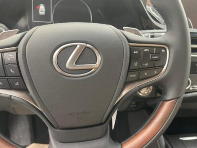 2023 Lexus ES 350 3.5 Liters 6-cylinder Petrol Engine Black Tan Luxury Sedan FWD