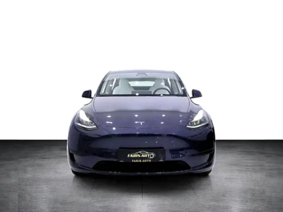 2024 Tesla Model Y Standard Electric Vehicle Grey White SUV 450 - 550 KM Range