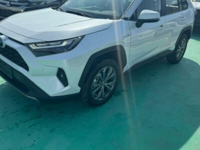 2023 Toyota RAV 4 2.5 Litres 4 Cylinders Petrol Engine White Red SUV AWD
