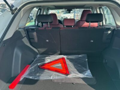 2023 Toyota RAV 4 2.5 Litres 4 Cylinders Petrol Engine White Red SUV AWD