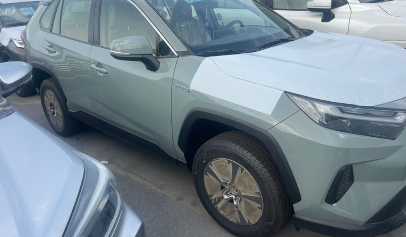 2023 Toyota RAV 4 2.5 Litres 4 Cylinders Petrol Engine Grey Tan SUV AWD