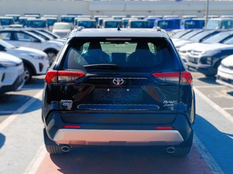 2025 Toyota RAV4 Adventure 2.5-liter 4-cylinder In-Line Petrol Engine Black White SUV