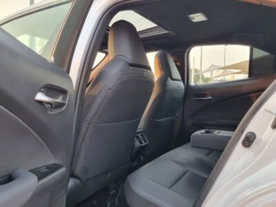 2024 Lexus UX 250h 2.0-liter four-cylinder Hybrid Engine White Black Subcompact SUV