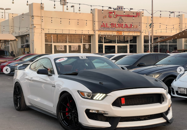 2016 Ford Mustang GT 5.0 Litres V8 Petrol Engine White Red Coupe RWD Automatic