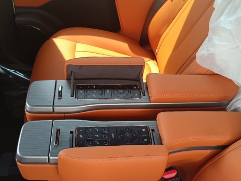 2026 ROX 01 VIP 1.5 Litres REEV 4 Cylinders Engine Black Orange SUV Automatic AWD