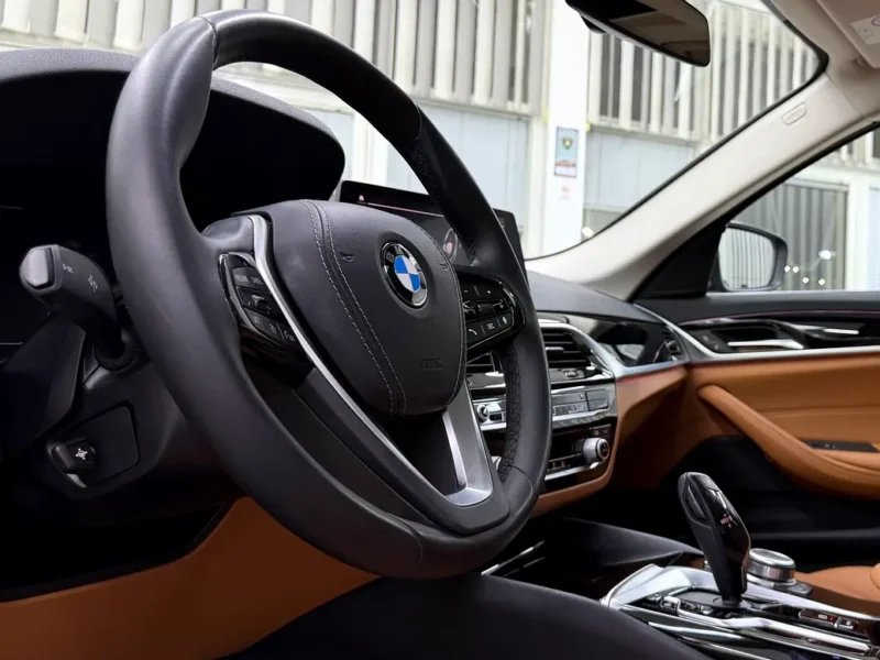 2021 BMW 5-Series 520i Exclusive 4 Cylinders Petrol Engine Black Brown Sedan GCC Specs