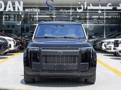 2026 ROX 01 VIP Fully Electric Vehicle Black White SUV Automatic Chinese Specifications