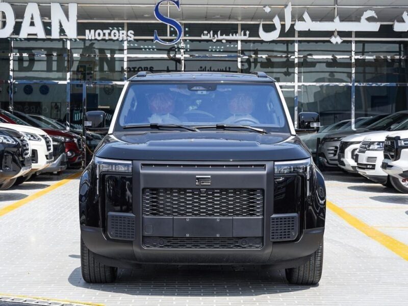 2026 ROX 01 VIP Fully Electric Vehicle Black White SUV Automatic Chinese Specifications