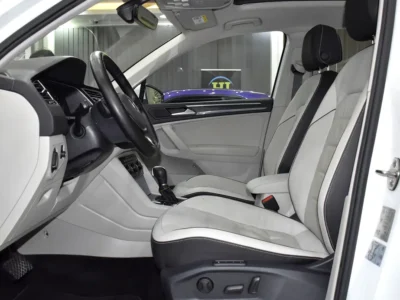 2019 Volkswagen Tiguan SEL 4 Cylinders Petrol Engine White Beige Crossover GCC Specs