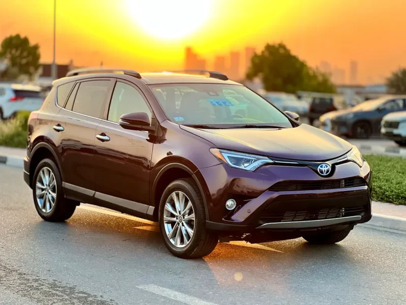 2017 Toyota Rav 4 Limited 4 Cylinders Petrol Engine Maroon Black SUV American Specs